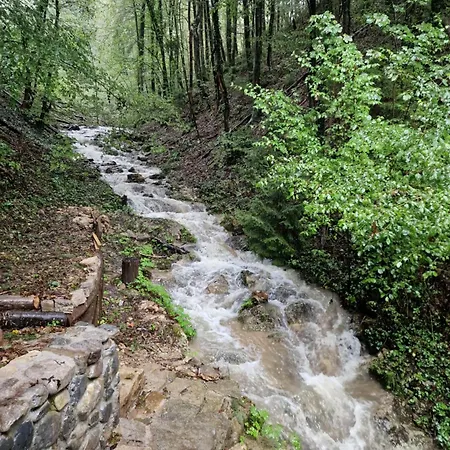 بيت للعطل Stari Mlin Franja/old Mill Franja