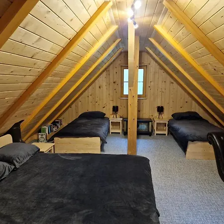 Počitniška hiša Stari Mlin Franja/old Mill Franja *