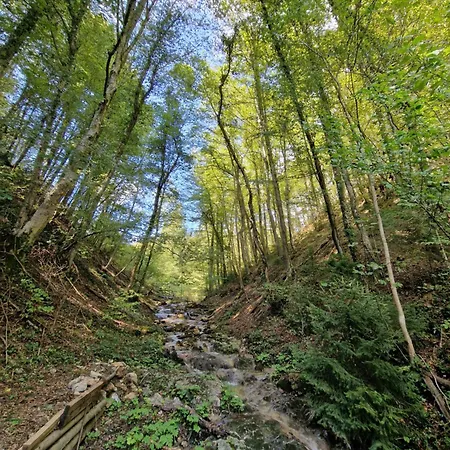 Stari Mlin Franja/old Mill Franja Počitniška hiša