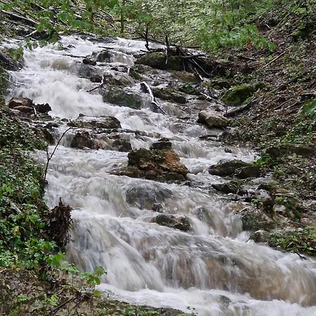 Počitniška hiša Stari Mlin Franja/old Mill Franja Sentrupert (Dolenjska)