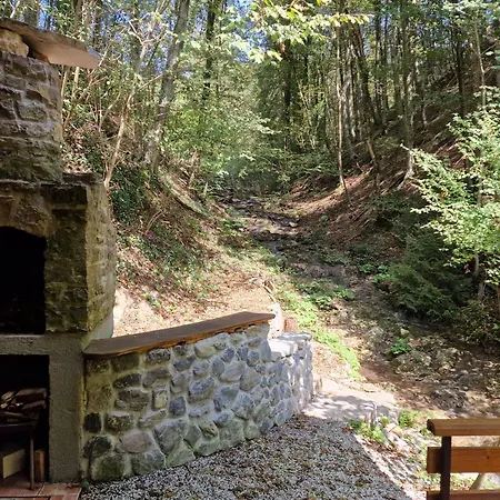 Stari Mlin Franja/old Mill Franja Počitniška hiša Sentrupert (Dolenjska)
